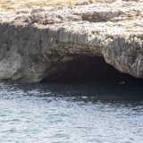 Anche qui l�alta scogliera cela meravigliose grotte. La prima � quella �dei Passeri�, dalla bocca d�entrata molto bassa e stretta